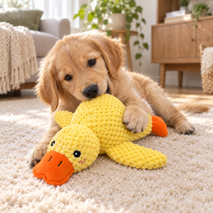 Dog Plush Squeaky Duck Toy